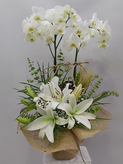 Çift Dallı Beyaz Orkide Ve Beyaz Lilyum Aranjmanlı
